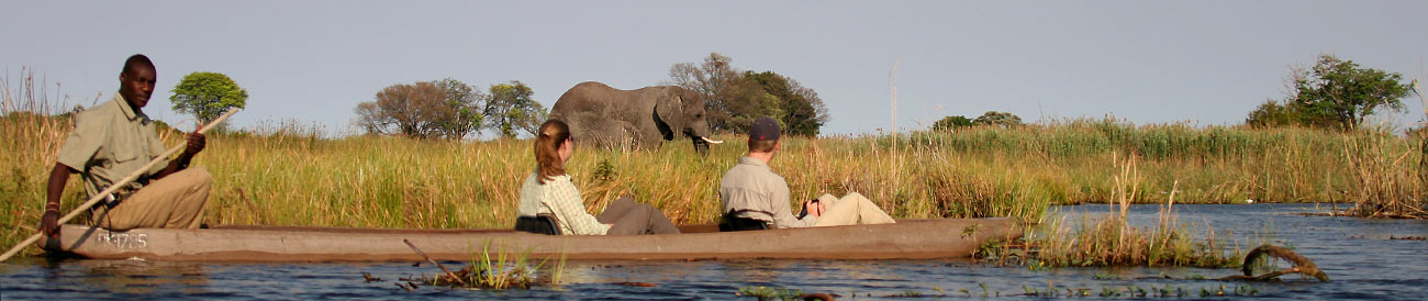 Affordable Fly-In Botswana Safari